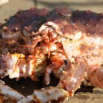 Живой камчатский краб Live Kamchatka crab